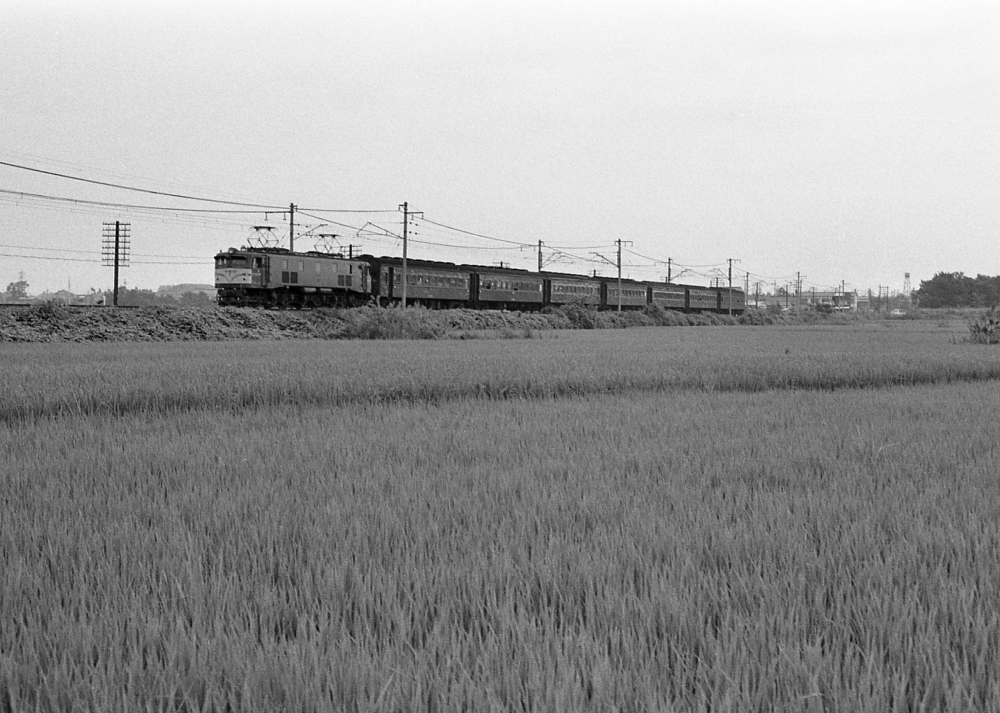 『東北本線を行くEF58』 122列車 EF58153 東北本線野木 1971.8.14