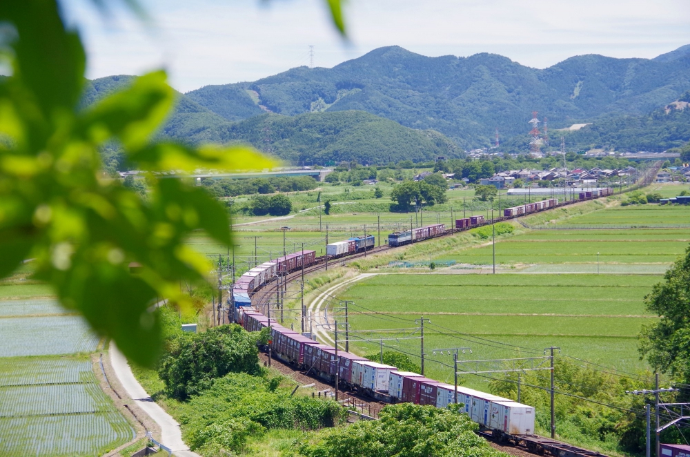 『長大編成の出会い』 8056列車,5087列車 EF210-9,EF652090 東海道本線米原 2017.6.14