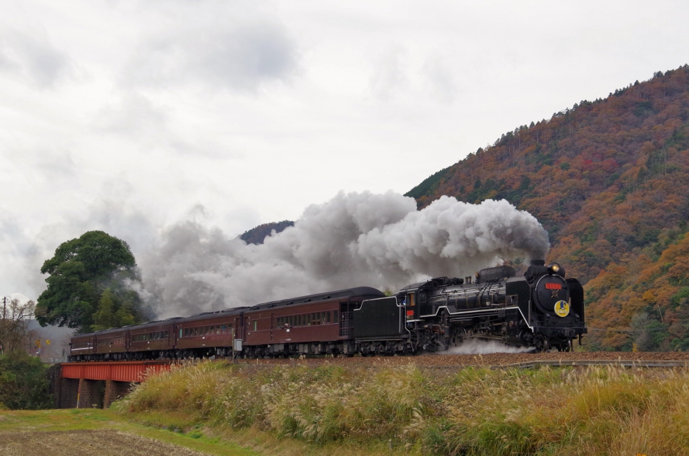 『晩秋の長門峡を行く』 SLやまぐち号 D51200 山口線長門峡 2017.11.25