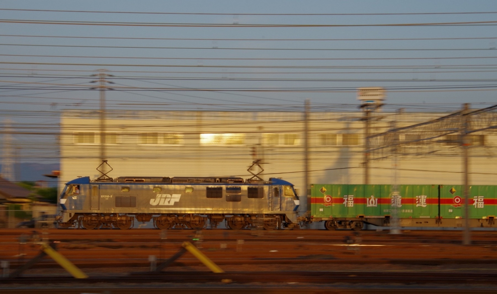 『６月の朝日の中を』 54列車 EF210-7 稲沢 2017.6.4