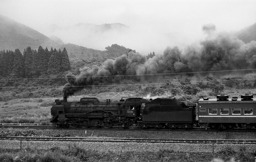 『急行8501列車あおもり2号 その２』 D51688 奥羽本線白沢 1971.8.12