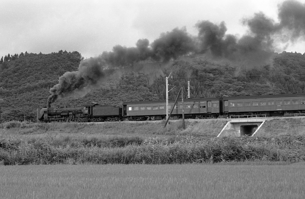 『みちのくのラストハドソン』 444列車 C6128 奥羽本線前山 1971.8.13