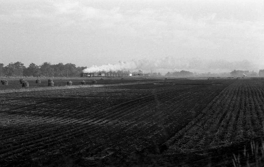 『北の大空に白煙たなびかせて』 1891列車 19671 広尾線大正 1973.10.11