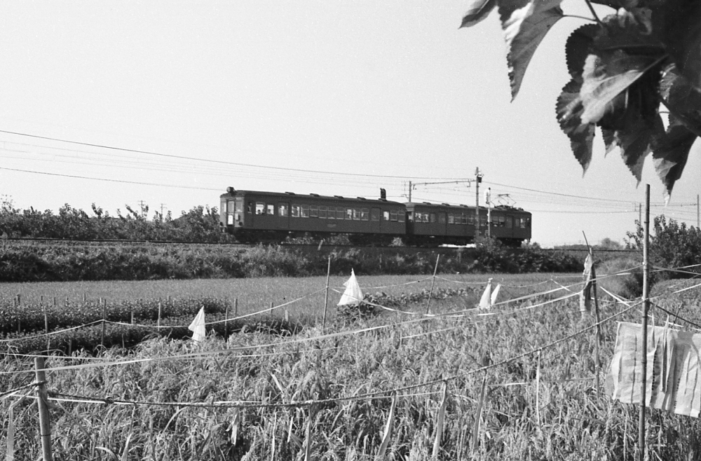 『稲穂と桑の葉と』 3800系 柏森 1967年11月頃