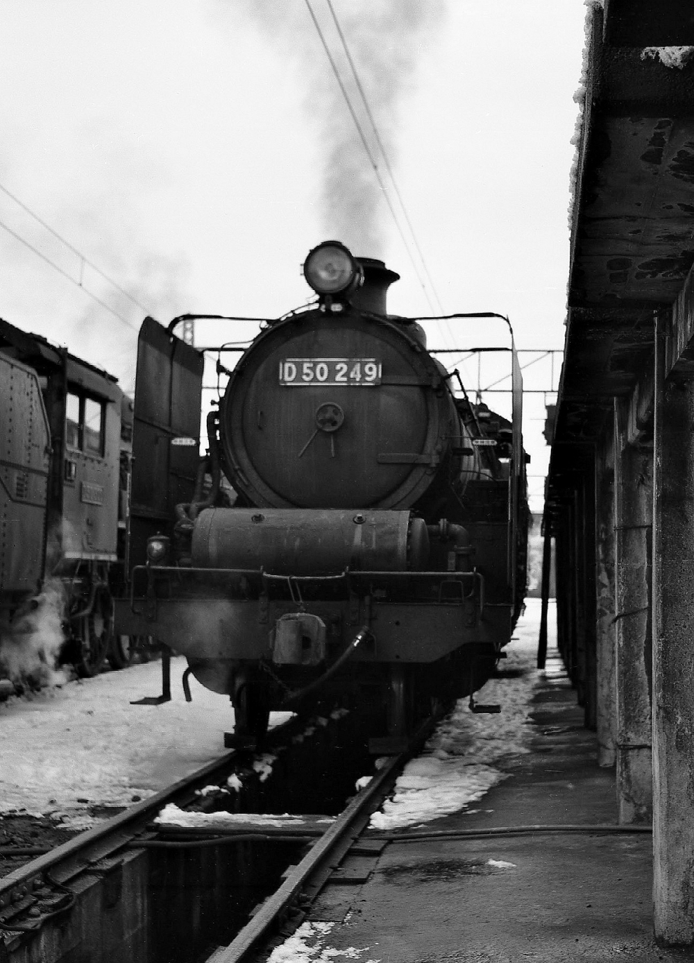 『居並ぶデコマルたち』 D50249,D50300 米原機関区 1968.1