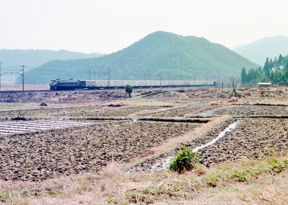 『とびうお湖東を飛ぶ』 特急貨5051列車 EF6630 柏原 1974.4.6