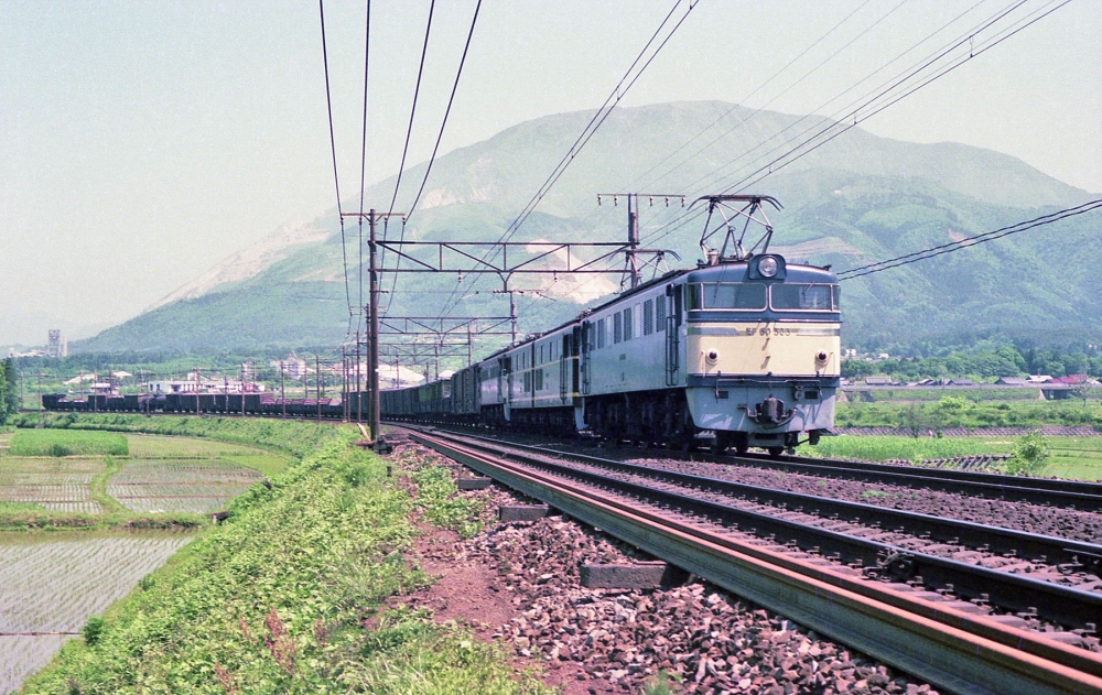 『伊吹山を背にして』 2464列車 EF60505 柏原 1975.5.28