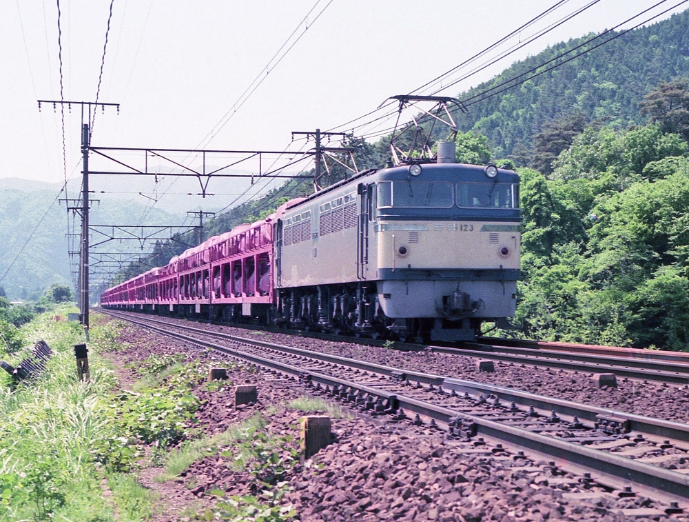 『クを牽くヒフミ』 6851列車 EF65123 柏原 1975.5.28