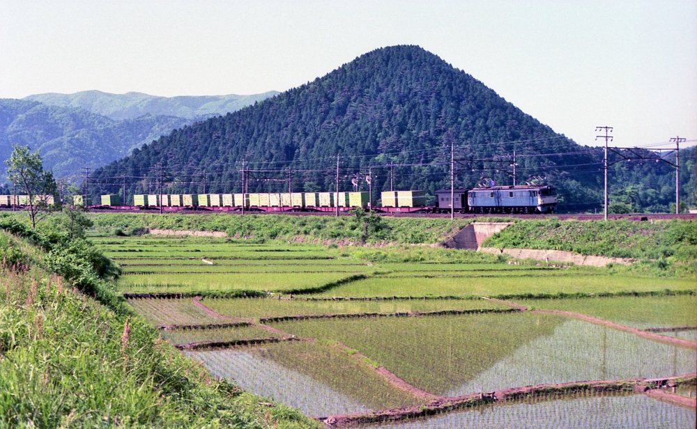 1151列車 EF6071 柏原 1975.5.28