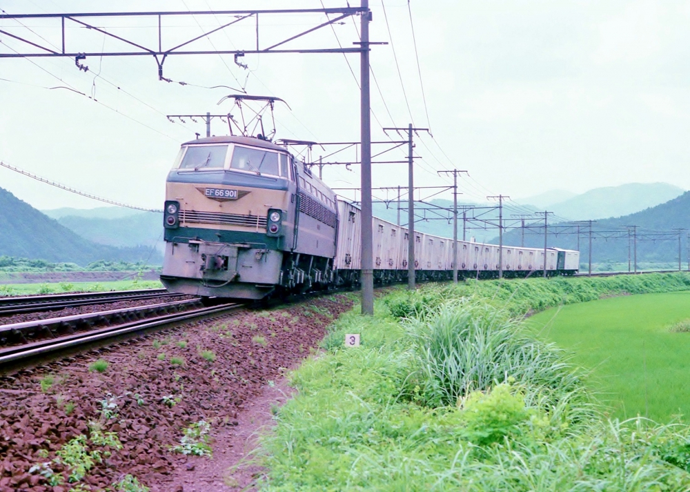 『とびうおが行く』 特急貨5051列車 EF66901 近江長岡 1976.8.11