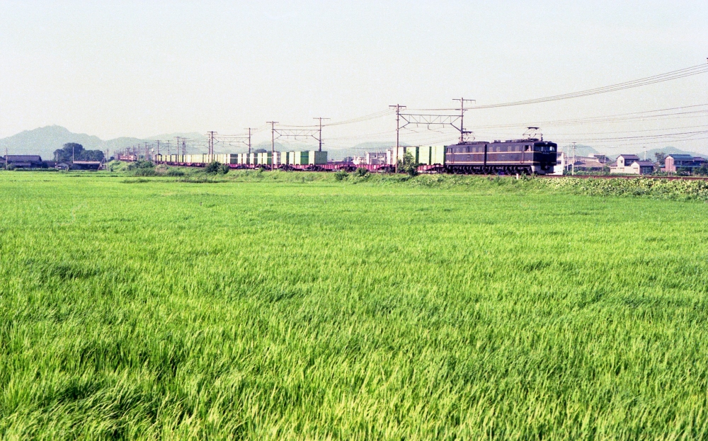 『吹き渡る風の中を』 854列車 EH1045 木曽川 1976.8.11