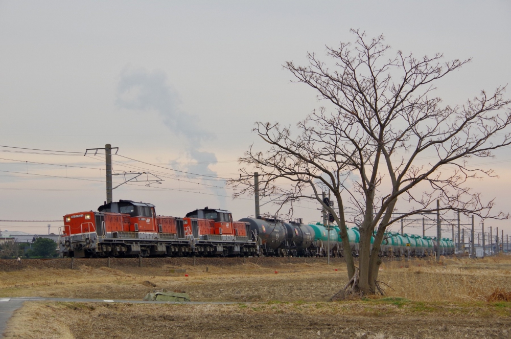 『黄昏のDD51重連』 8380列車 DD51892+825 関西本線白鳥(信) 2018.2.2