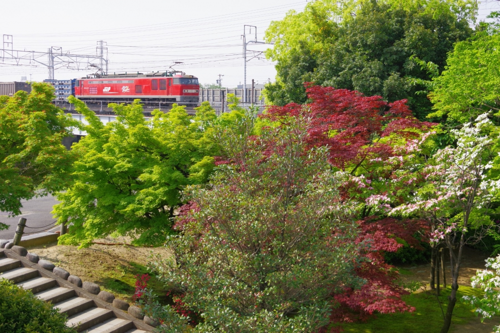 『新緑の清洲公園にて』 1250列車 EF510-23 清洲 2018.4.23