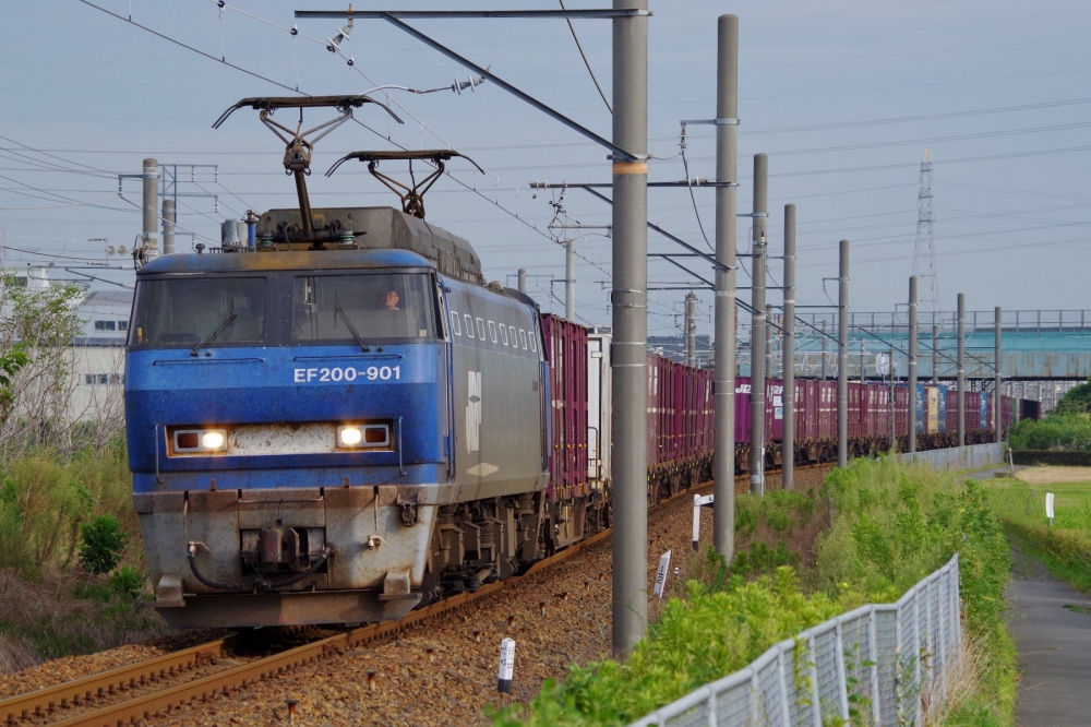 『夏の朝』 1064列車 EF200-901 稲沢 2015.8.12