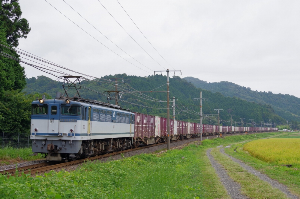 『関ヶ原越えの勾配緩和線を行く2018』 5087列車 EF652095 東海道本線関ヶ原 2018.8.20