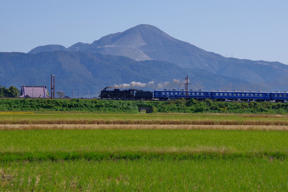 『伊吹山をバックに』 SL北びわこ号 C571 北陸本線虎姫 2018.10.21