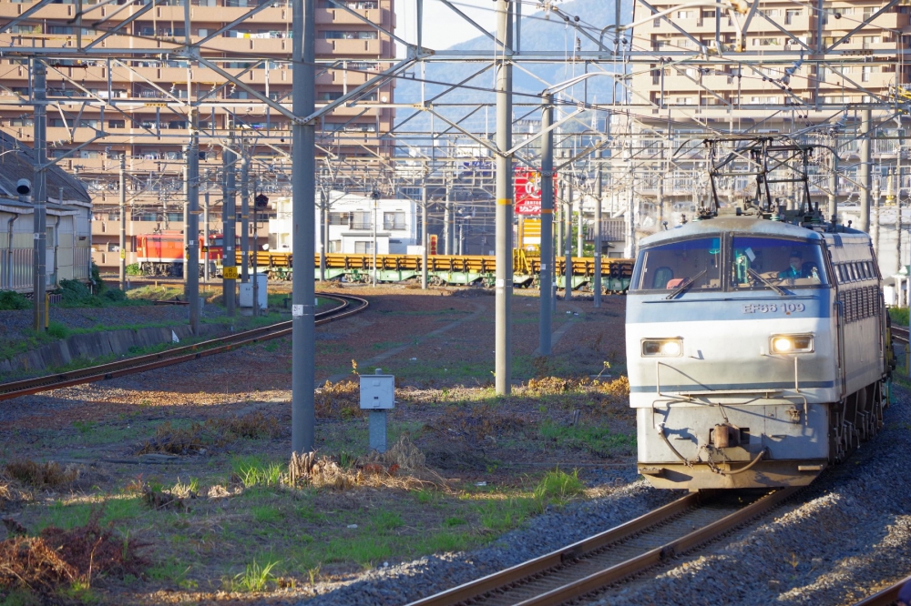 『モミジ色の後補機』 8090列車 EF66-109…EF67 山陽本線天神川 2018.10.28