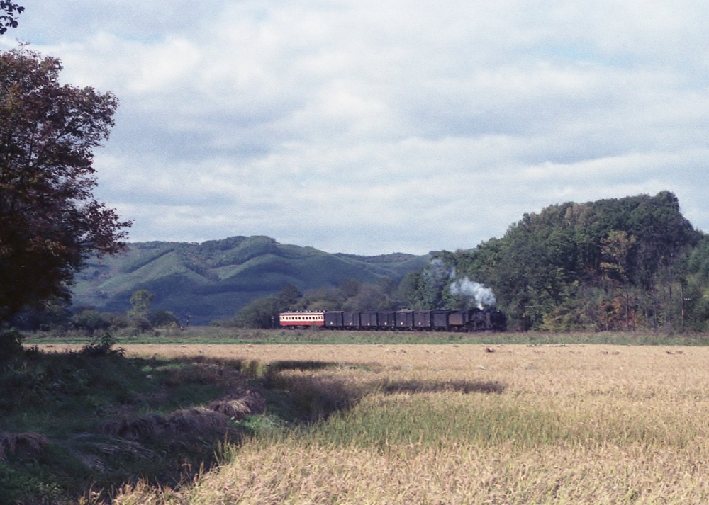 『初秋の北見を行く』 1593列車 C58412 石北本線緋牛内 1973.10.6