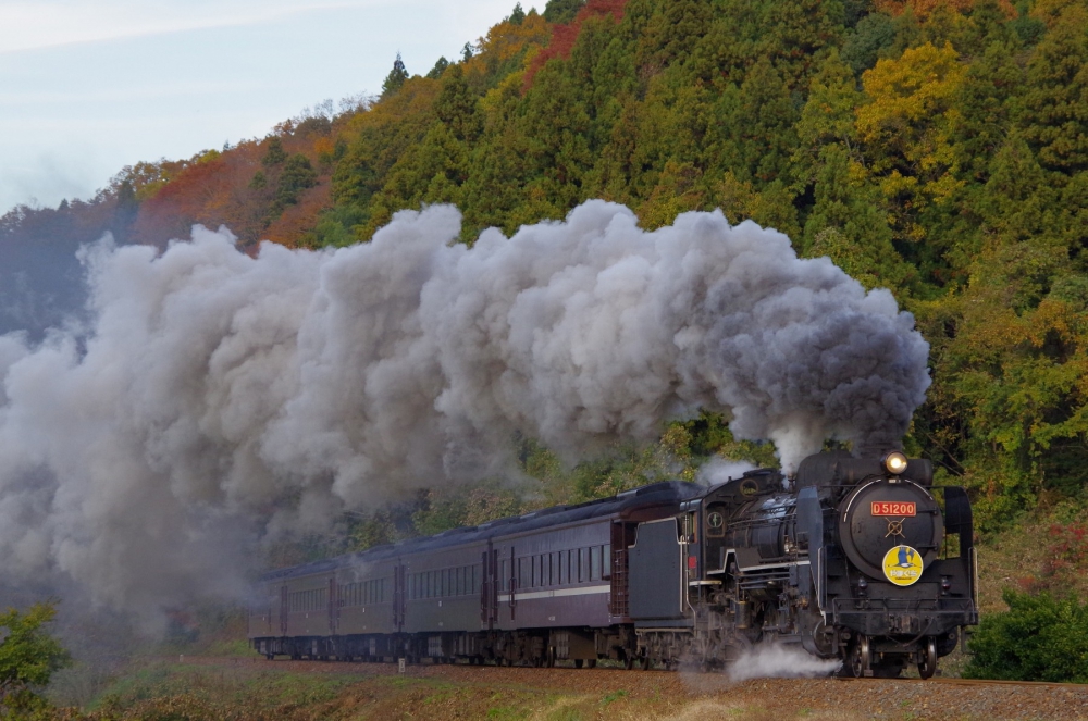 『ヘッドマークも鮮やかに』 SLやまぐち号 D51200 山口線津和野 2017.11.25