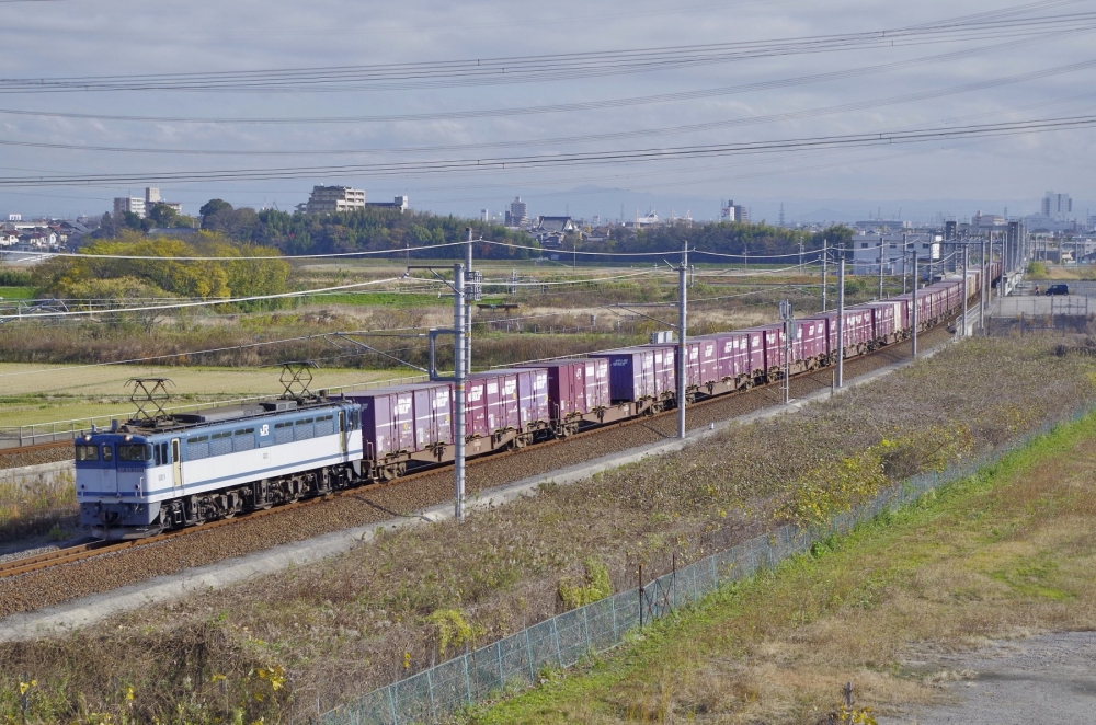 『冬枯れの中を』 5087列車 EF652101 東海道本線大府 2015.12.12