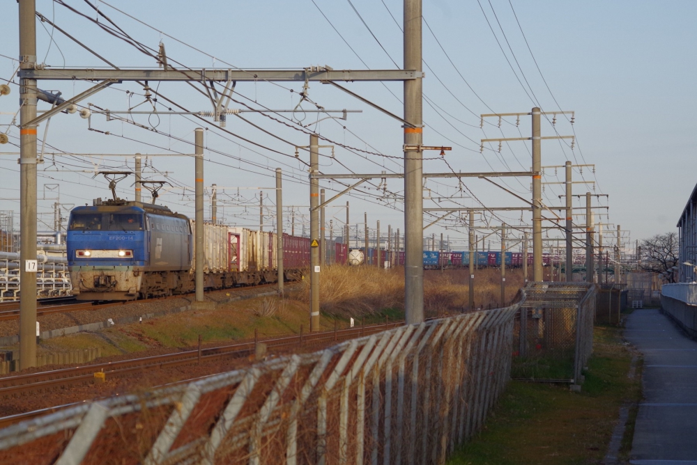 『ポールジャングルを縫って』 1064列車 EF200-14 枇杷島 2015.2.21