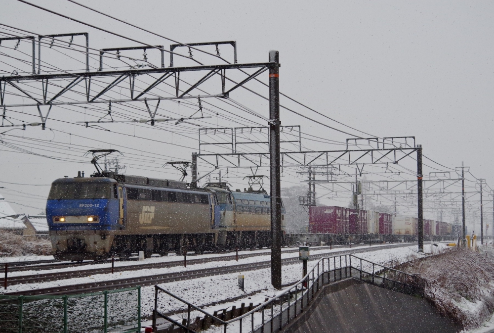 『雪の清洲を行く』 1250列車 EF200-12+EF66116 清洲 2014.2.8