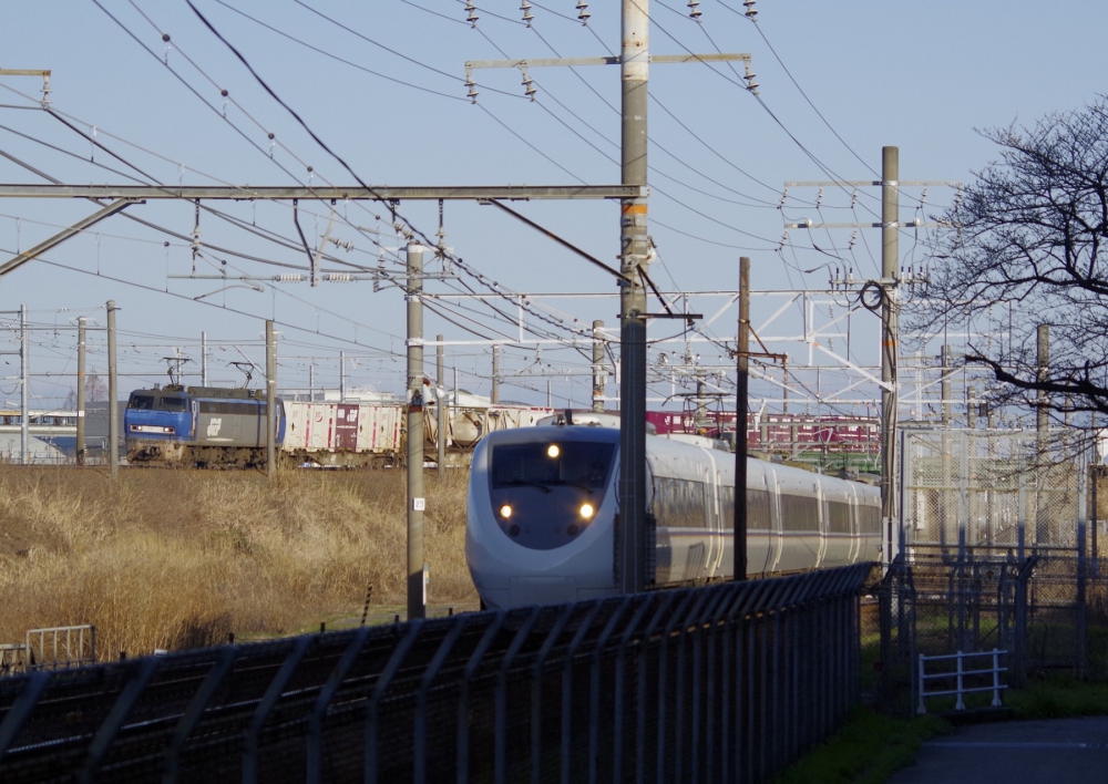 『デッドヒート』 1064列車 EF200-15 枇杷島 2016.3.21