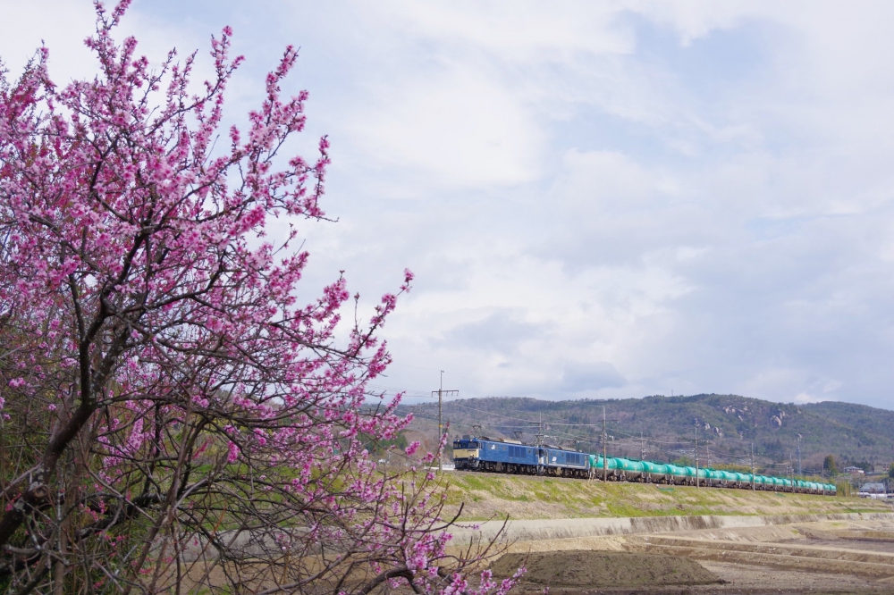 『屏風岩をバックに』 6088列車 EF641022+1049 中央本線釜戸 2019.4.12