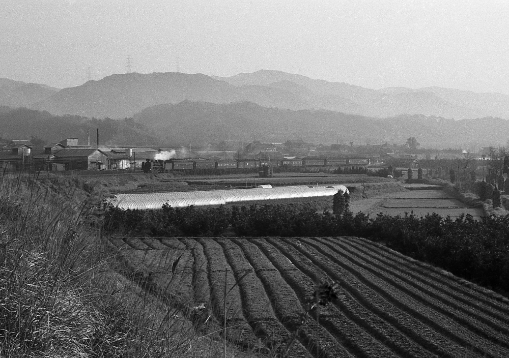 『紀ノ川平野の朝』  523列車 C57119 和歌山線西笠田 1971.4.2