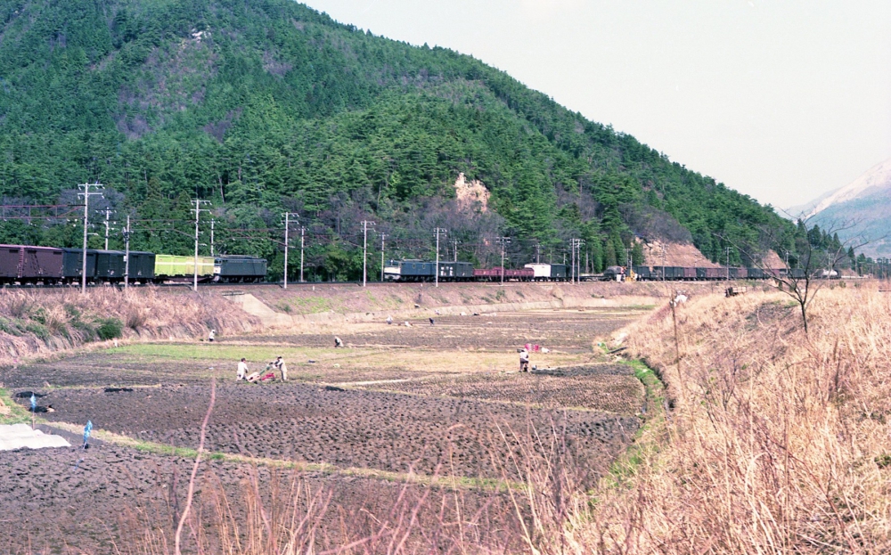 『田起こしの頃』  EF65⇔EF6034 柏原 1974.4.6