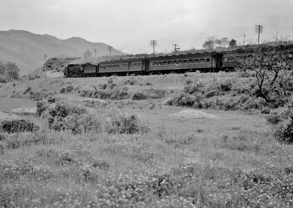 『シロツメクサの野辺を行く』 832列車 D51 田立 1969.4.29