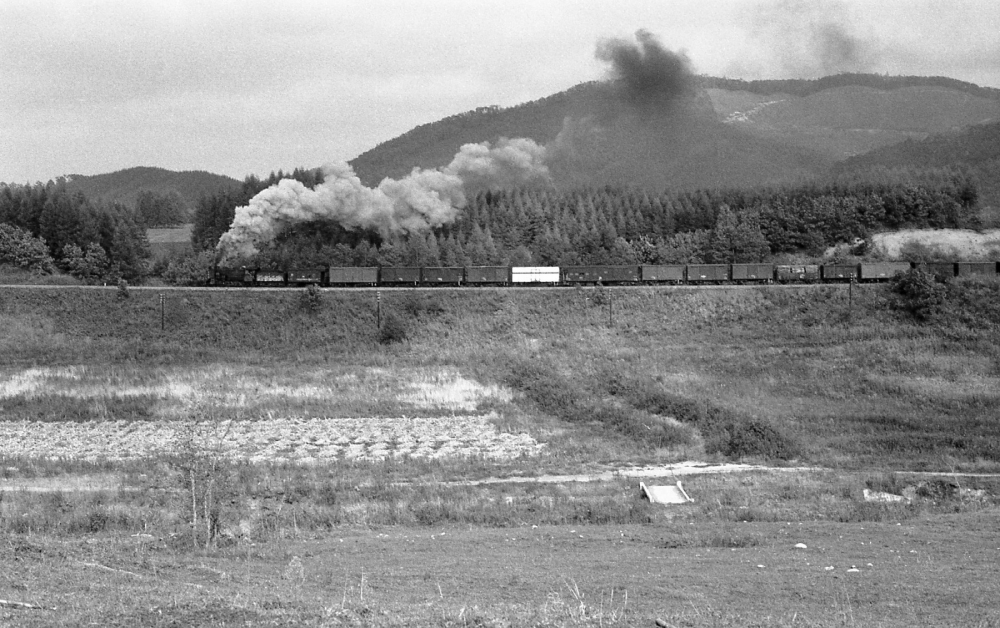 『北の大地を行く その２』 1892列車 19671 広尾線虫類 1973.10.11