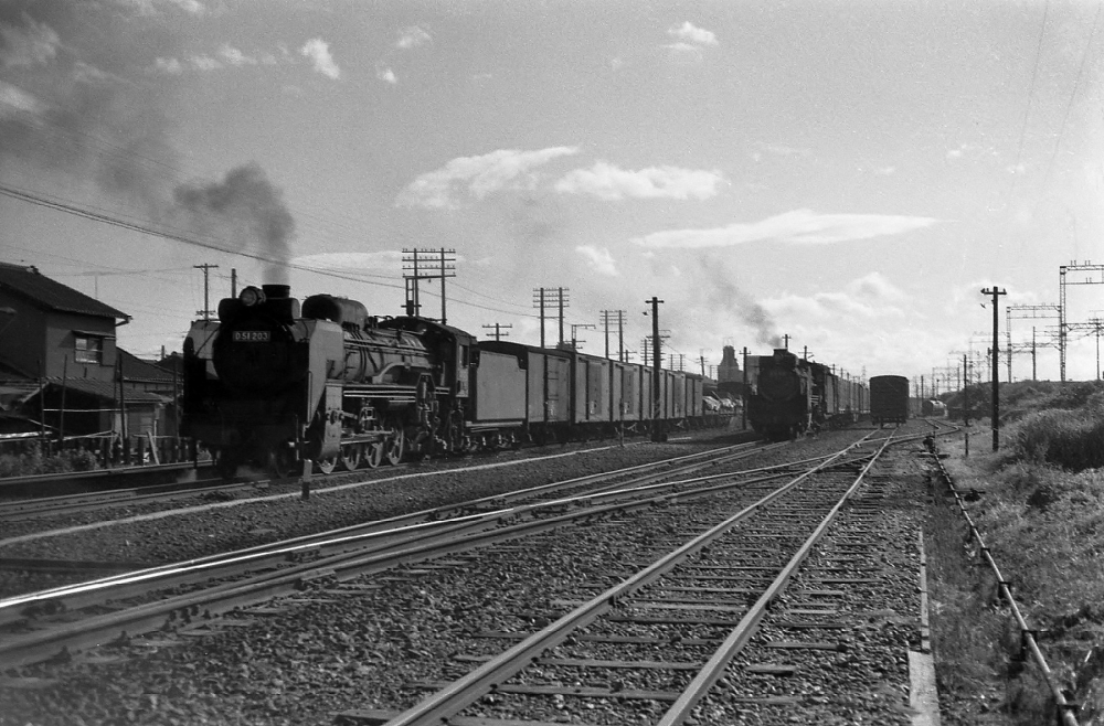 『八田駅の追い抜き』 6286列車,262列車 D51203,D51619 八田 1969.6.7