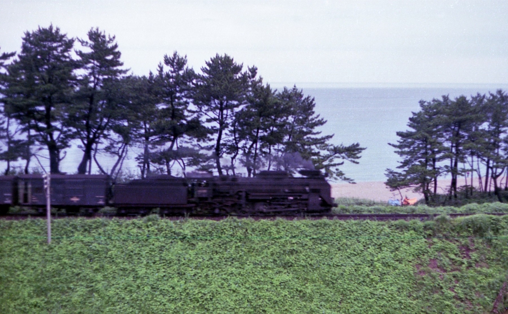 『五十猛浜の朝』866列車 D51158 山陰本線五十猛 1974.7.28