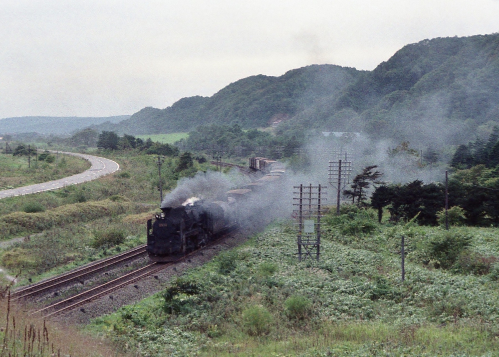 『北のナメクジが行く』2486列車 D5113 室蘭本線富浦 1973.10.4
