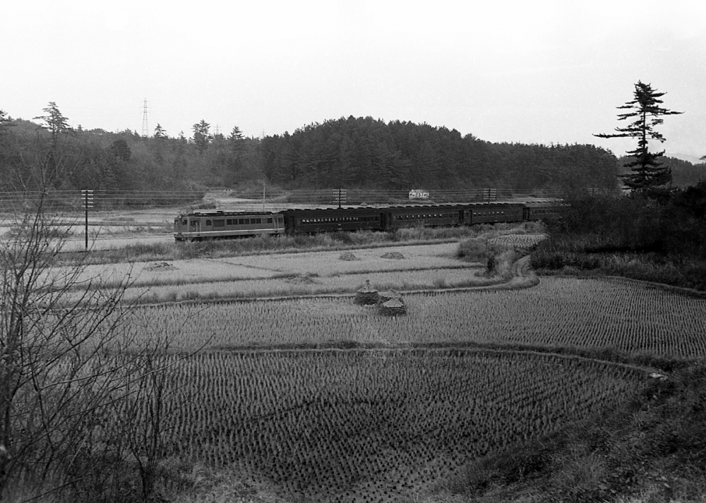 828列車 DF505 紀勢本線徳和 1970.12.20