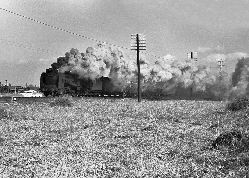 『排煙逆巻かせて』8231列車 D51528 長島 1971.1.6