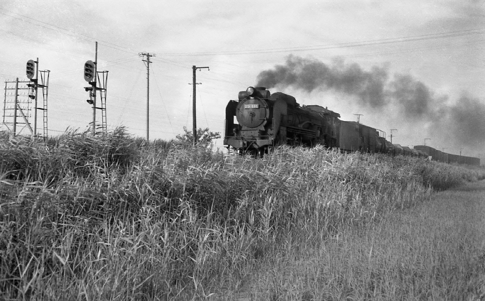 『葦原の狭間に』 269列車 D51698 永和 1969.7.6