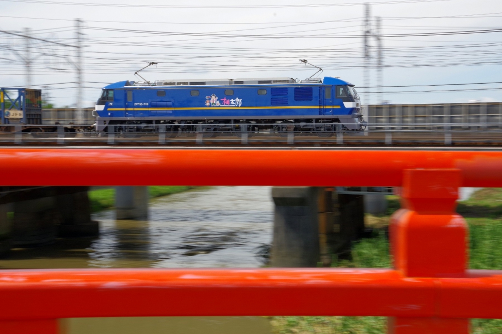 『桃太郎一行五条川を渡る』5085列車 EF210-319 清洲 2020.7.22