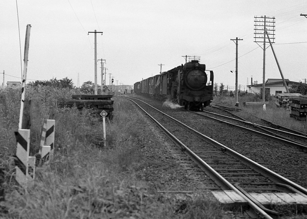 『海抜ゼロメートル地帯にて』 8226列車 D51369 1968.9.27 弥富