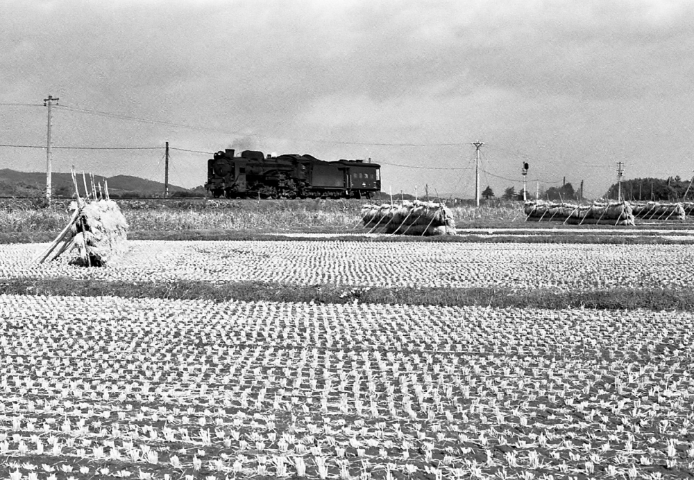 室蘭本線の珍編成 1294列車 D51711 室蘭本線安平 1973.10.17