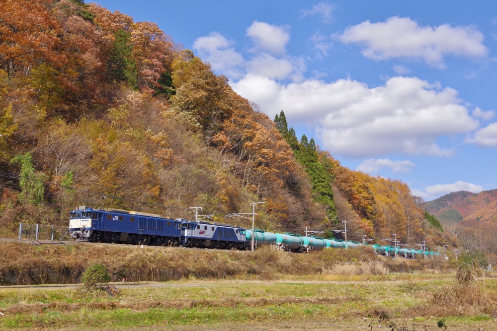 『紅葉の木曽谷を行く2020』8084列車 EF641049+1003 中央本線藪原 2020.11.12