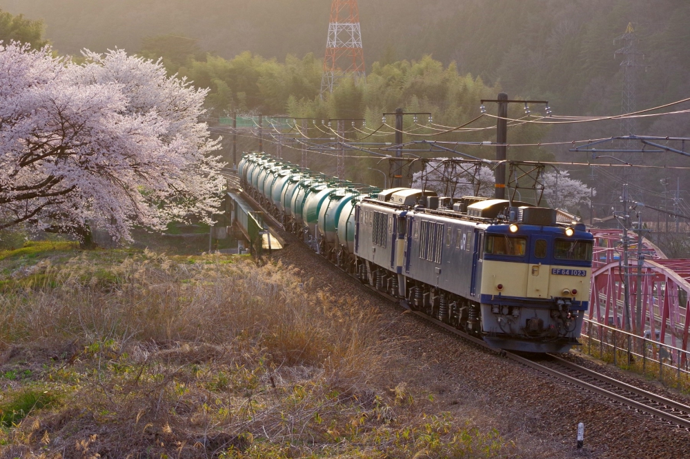 『木曽谷 花の夕暮れ』5875列車 EF641023+1043 中央本線須原 2021.4.1