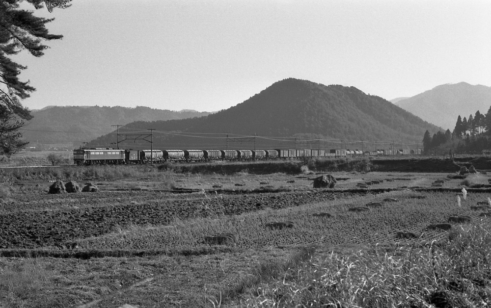 『西日の中を』1793列車 EF65 柏原 1971.12.29