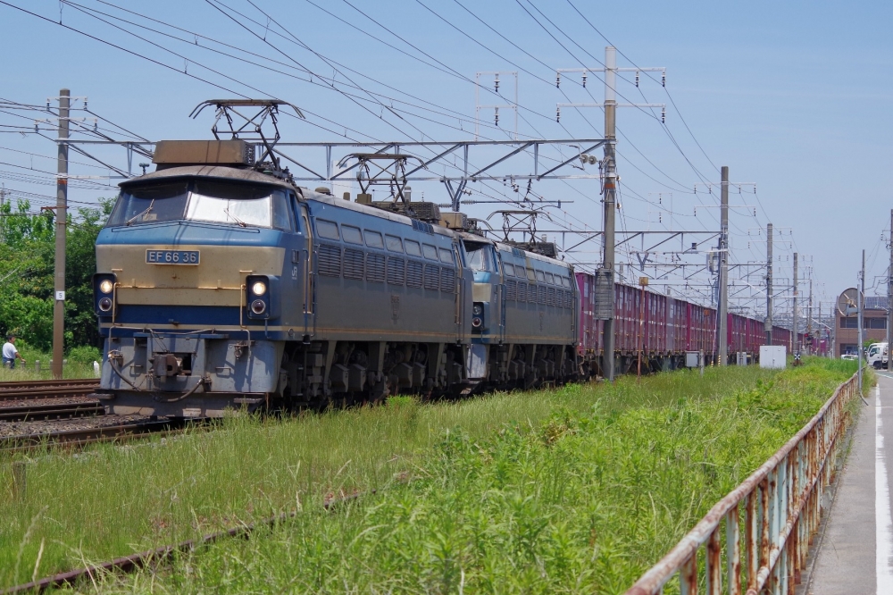 『稲沢線のEF66重連』 3091列車 EF6636+EF6626 清洲 2014.6.1