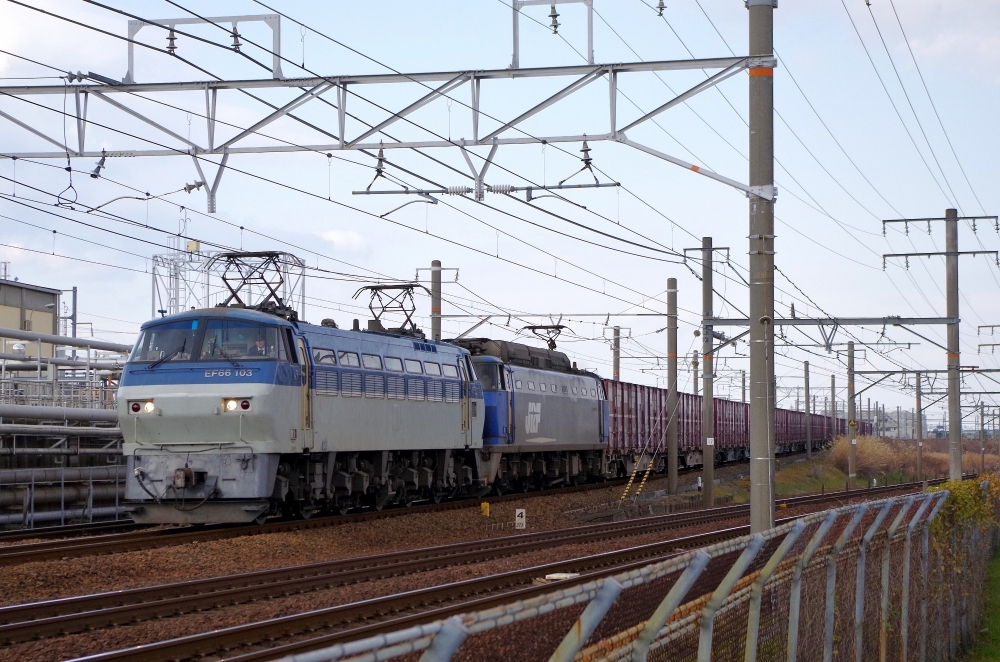 3091列車 EF66103+EF200-901 枇杷島 2015.1.11