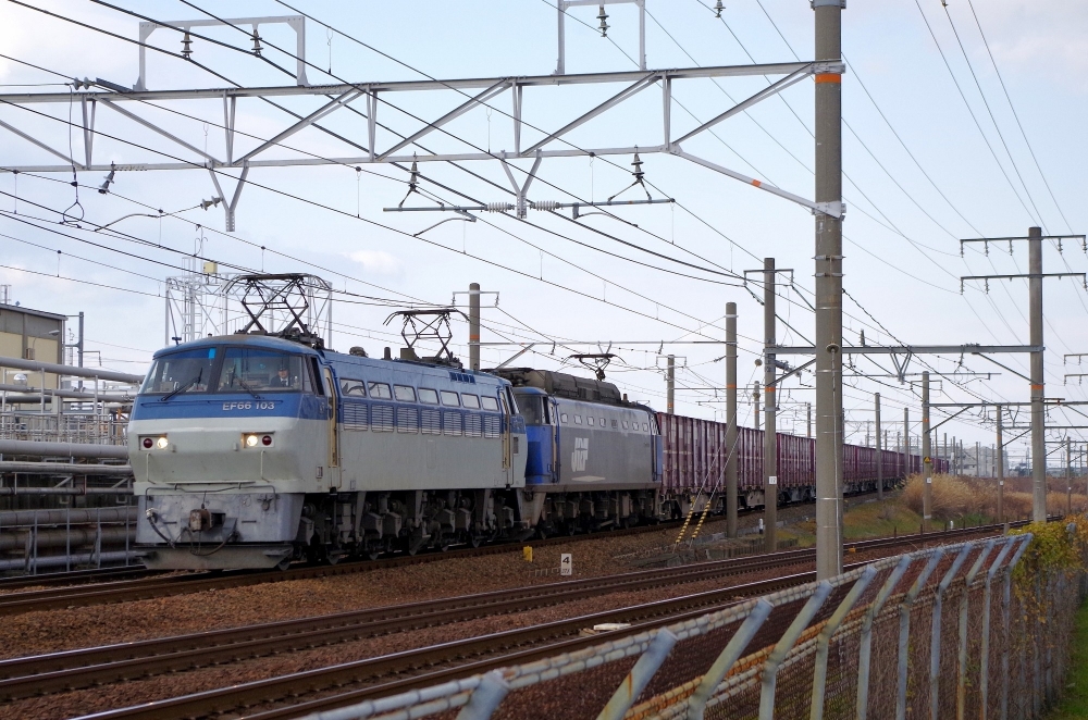 3091列車 EF66103+EF200-901 枇杷島 2015.1.11