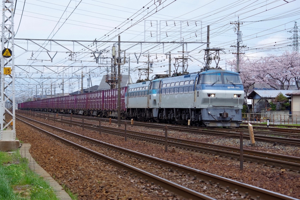 『サメ連番英姿颯爽』3091列車 EF66105+106 清洲 2014.4.6