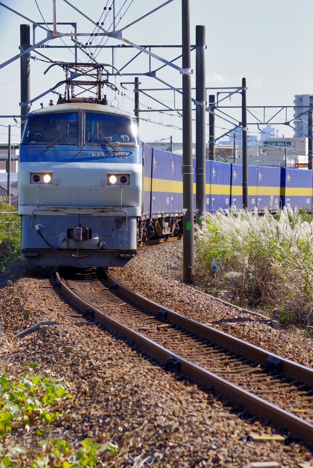 2059列車 EF66103 稲沢 2019.10.9