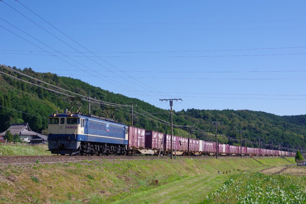 『秋晴れの勾配緩和線を行く 2022』5087列車 EF652080 東海道本線南荒尾 2022.10.20